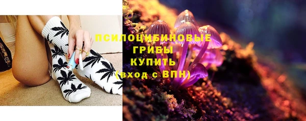 бошки Лиски