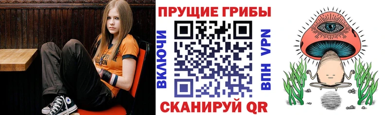 kraken ССЫЛКА  Ростов-на-Дону  Галлюциногенные грибы Psilocybine cubensis 